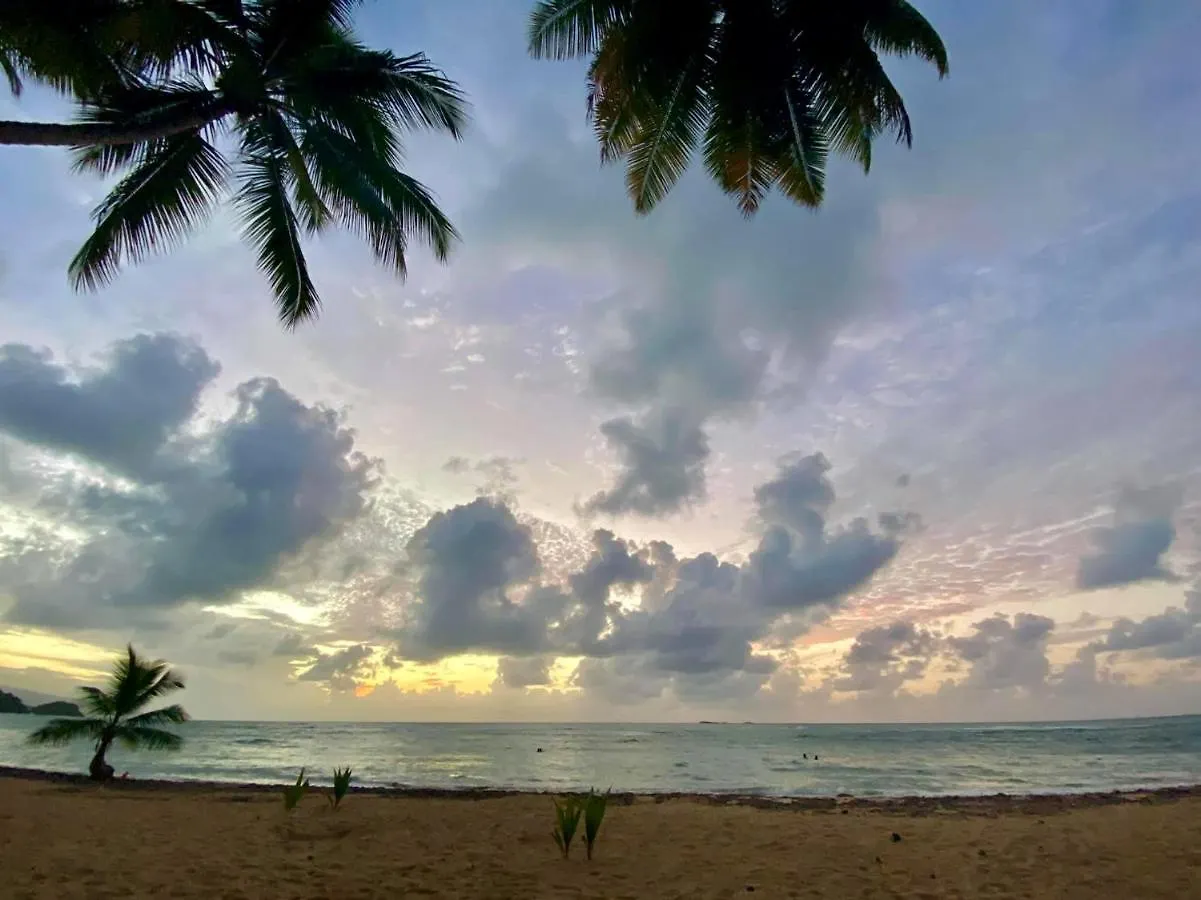 La Dolce Vita Beachfront Apt 2 Las Terrenas