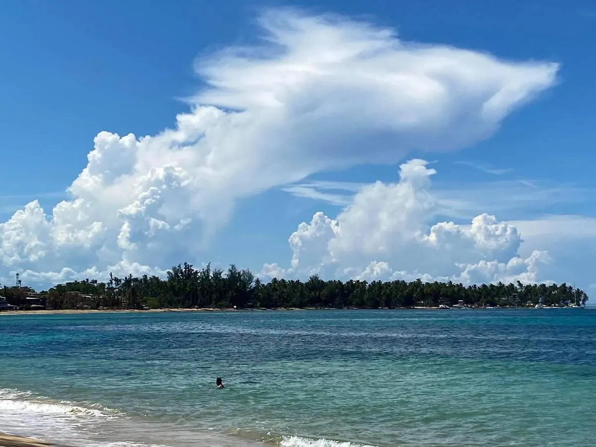Aparthotel La Dolce Vita Beachfront Apt 2 Las Terrenas