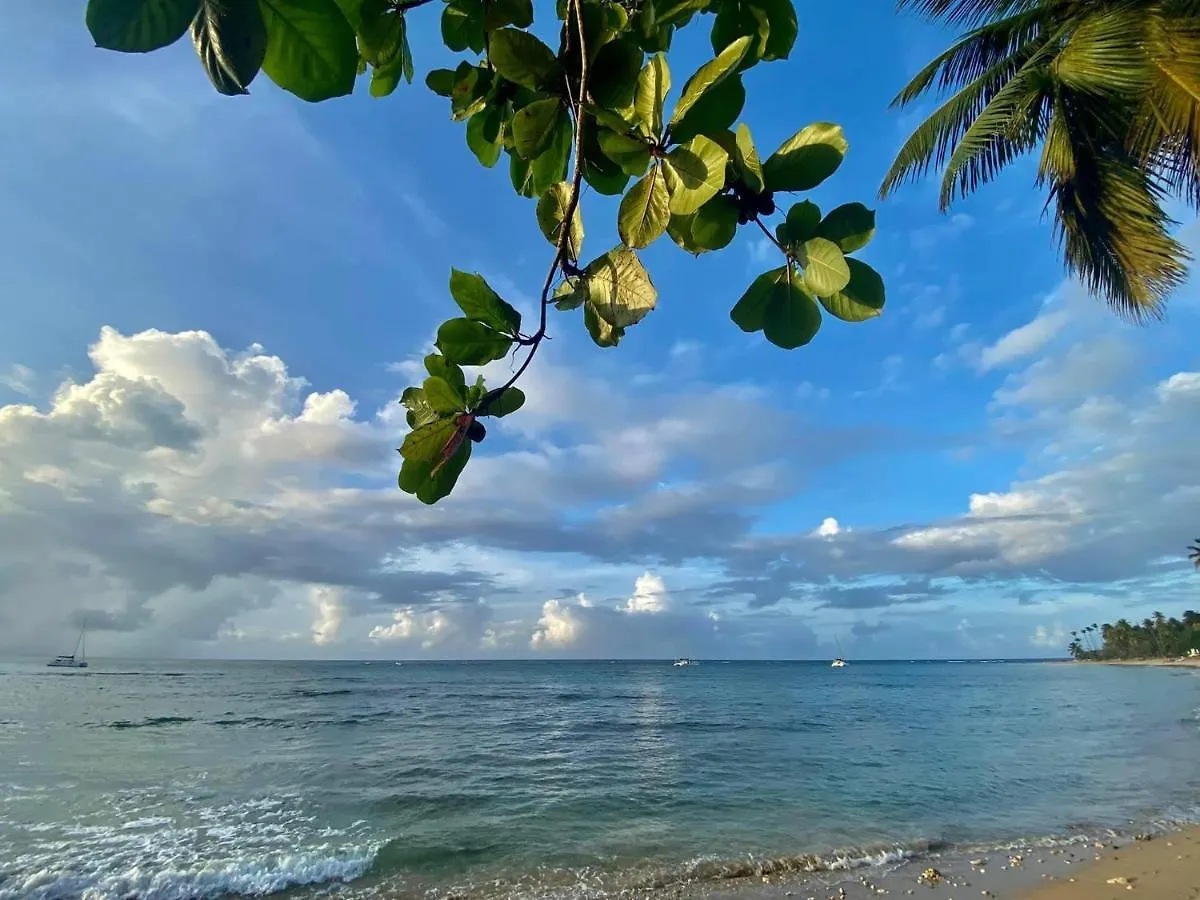 La Dolce Vita Beachfront Apt 2 Lejlighedshotel Las Terrenas