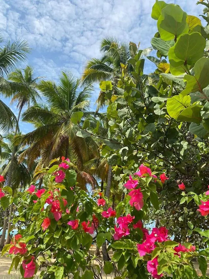 La Dolce Vita Beachfront Apt 2 Las Terrenas